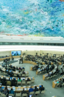 Comité de Vigilance pour la Démocratie en Tunisie au 13ème Forum des Nations Unies sur les entreprises et les droits de l'homme